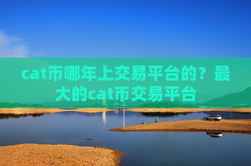 cat币哪年上交易平台的？最大的cat币交易平台
