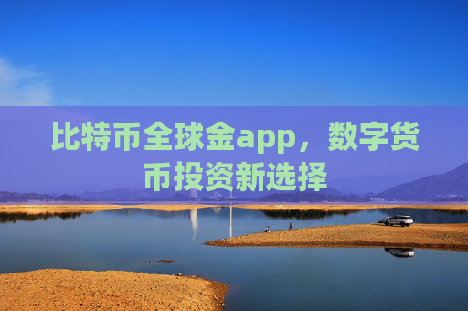比特币全球金app，数字货币投资新选择
