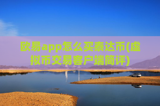 欧易app怎么买泰达币(虚拟币交易客户端简评)