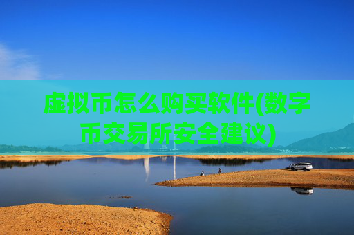 虚拟币怎么购买软件(数字币交易所安全建议)