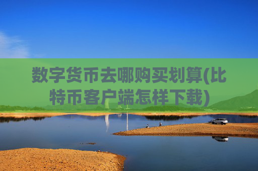 数字货币去哪购买划算(比特币客户端怎样下载)