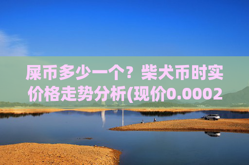 屎币多少一个？柴犬币时实价格走势分析(现价0.00021775元)