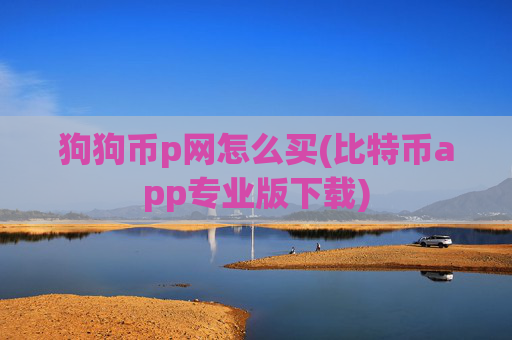 狗狗币p网怎么买(比特币app专业版下载)