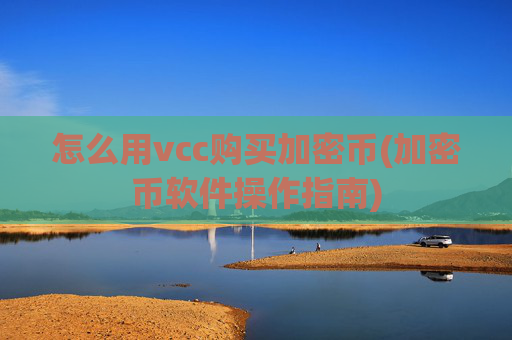 怎么用vcc购买加密币(加密币软件操作指南)