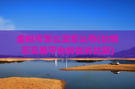 虚拟币怎么买怎么存(比特币交易平台的优劣比较)