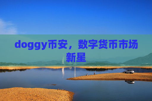 doggy币安，数字货币市场新星