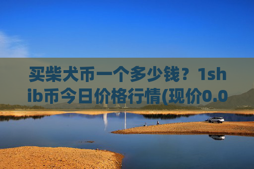 买柴犬币一个多少钱？1shib币今日价格行情(现价0.0002192元)