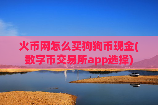 火币网怎么买狗狗币现金(数字币交易所app选择)