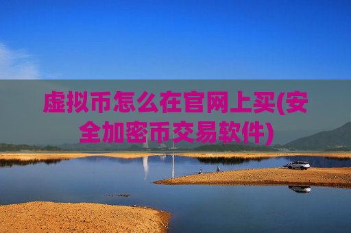 虚拟币怎么在官网上买(安全加密币交易软件)