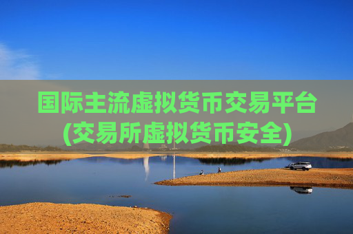 国际主流虚拟货币交易平台(交易所虚拟货币安全)