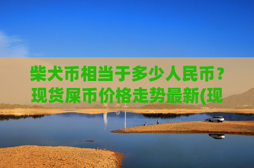 柴犬币相当于多少人民币？现货屎币价格走势最新(现价0.0002184元)