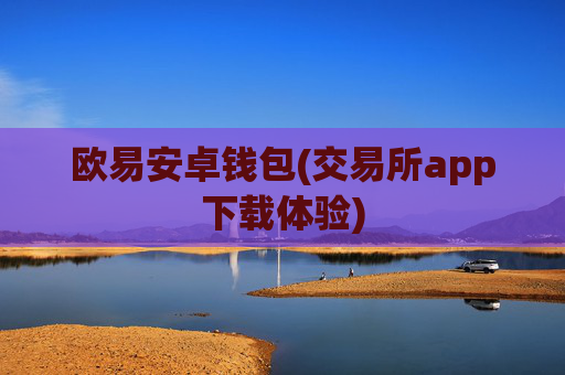 欧易安卓钱包(交易所app下载体验)