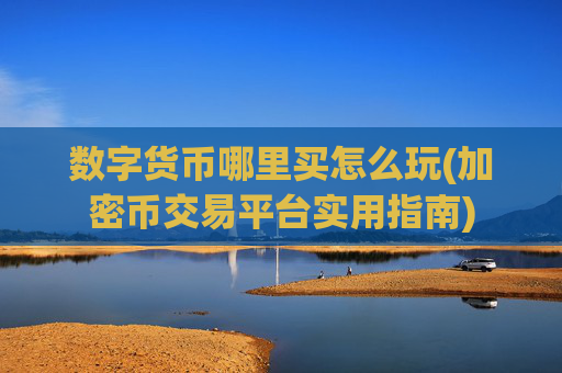 数字货币哪里买怎么玩(加密币交易平台实用指南)