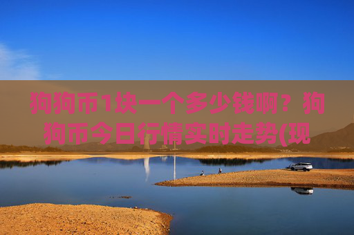 狗狗币1块一个多少钱啊？狗狗币今日行情实时走势(现价2.3236元)