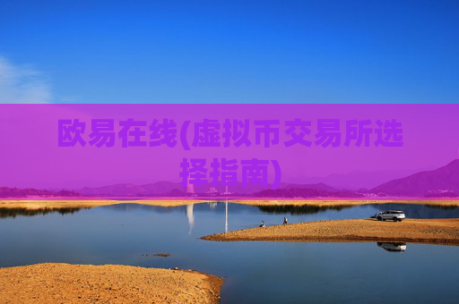 欧易在线(虚拟币交易所选择指南)