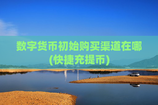 数字货币初始购买渠道在哪(快捷充提币)