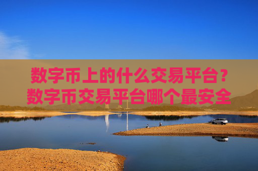 数字币上的什么交易平台？数字币交易平台哪个最安全