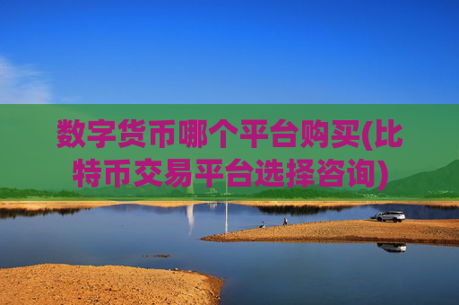 数字货币哪个平台购买(比特币交易平台选择咨询)