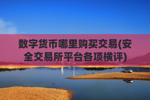 数字货币哪里购买交易(安全交易所平台各项横评)