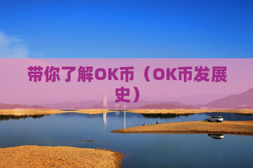 带你了解OK币（OK币发展史）