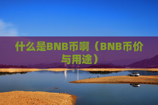 什么是BNB币啊（BNB币价与用途）