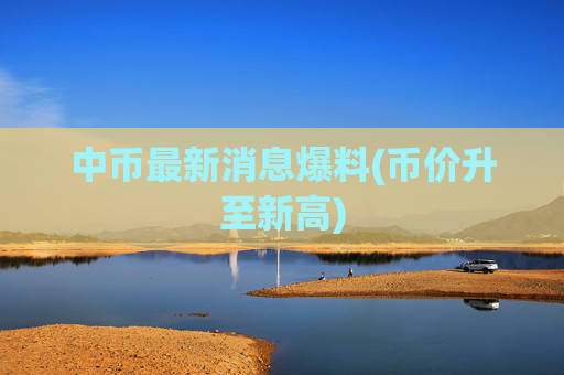 中币最新消息爆料(币价升至新高)