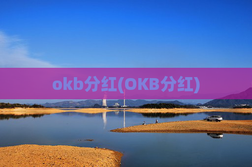 okb分红(OKB分红)