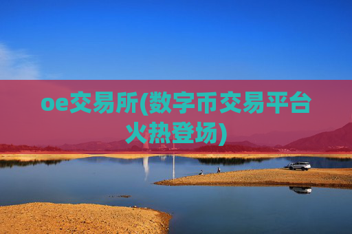 oe交易所(数字币交易平台火热登场)