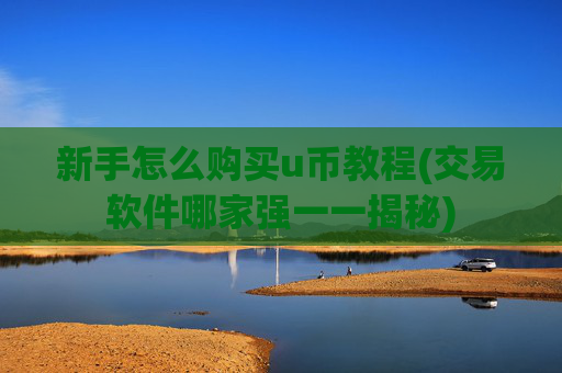 新手怎么购买u币教程(交易软件哪家强一一揭秘)