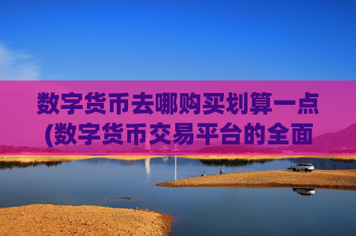 数字货币去哪购买划算一点(数字货币交易平台的全面评测)