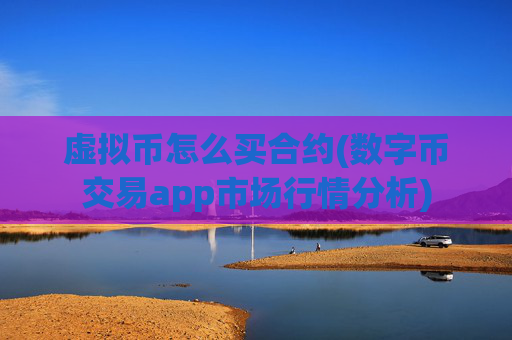 虚拟币怎么买合约(数字币交易app市场行情分析)