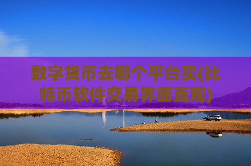 数字货币去哪个平台买(比特币软件交易界面直观)