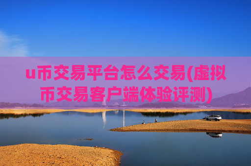 u币交易平台怎么交易(虚拟币交易客户端体验评测)