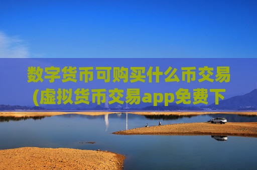 数字货币可购买什么币交易(虚拟货币交易app免费下载)
