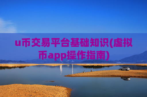 u币交易平台基础知识(虚拟币app操作指南)