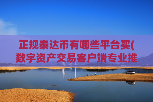 正规泰达币有哪些平台买(数字资产交易客户端专业推荐)