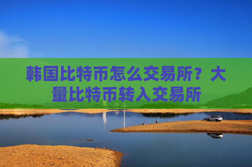 韩国比特币怎么交易所?大量比特币转入交易所