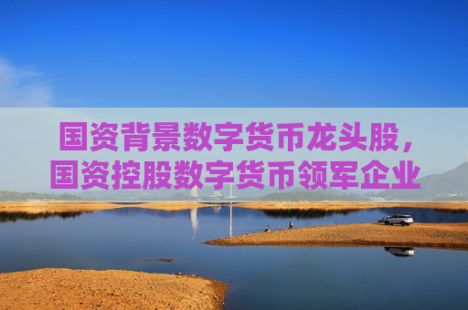国资背景数字货币龙头股，国资控股数字货币领军企业