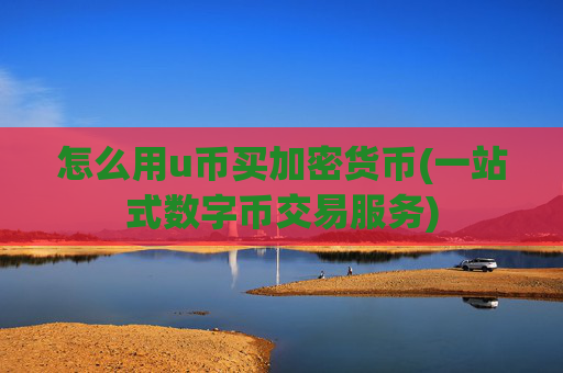 怎么用u币买加密货币(一站式数字币交易服务)