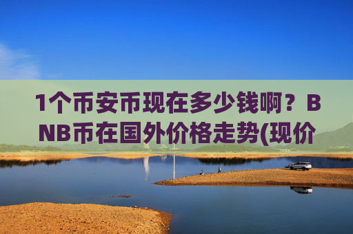 1个币安币现在多少钱啊？BNB币在国外价格走势(现价4784.91元)