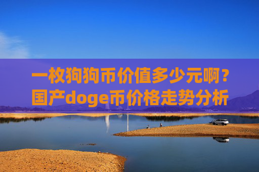 一枚狗狗币价值多少元啊？国产doge币价格走势分析(现价2.3004元)