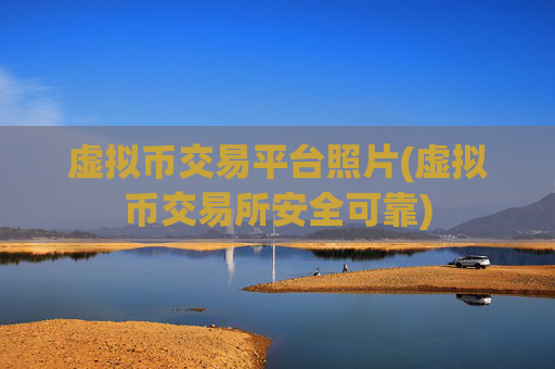 虚拟币交易平台照片(虚拟币交易所安全可靠)