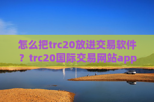 怎么把trc20放进交易软件？trc20国际交易网站app