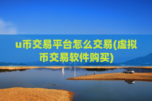 u币交易平台怎么交易(虚拟币交易软件购买)