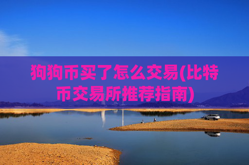 狗狗币买了怎么交易(比特币交易所推荐指南)