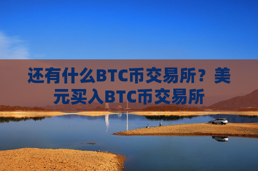 还有什么BTC币交易所？美元买入BTC币交易所