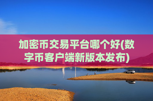 加密币交易平台哪个好(数字币客户端新版本发布)