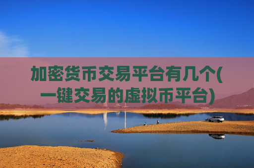 加密货币交易平台有几个(一键交易的虚拟币平台)