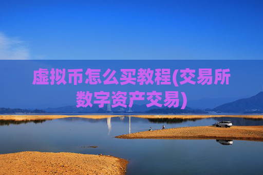 虚拟币怎么买教程(交易所数字资产交易)