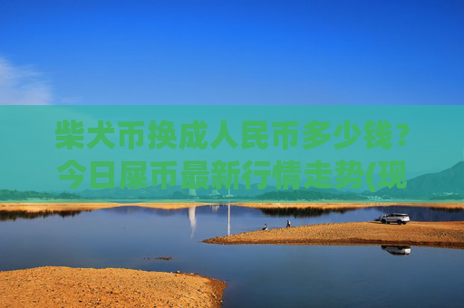 柴犬币换成人民币多少钱？今日屎币最新行情走势(现价0.0002184元)